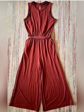 Banana Republic Wide Leg Jumpsuit in Rust